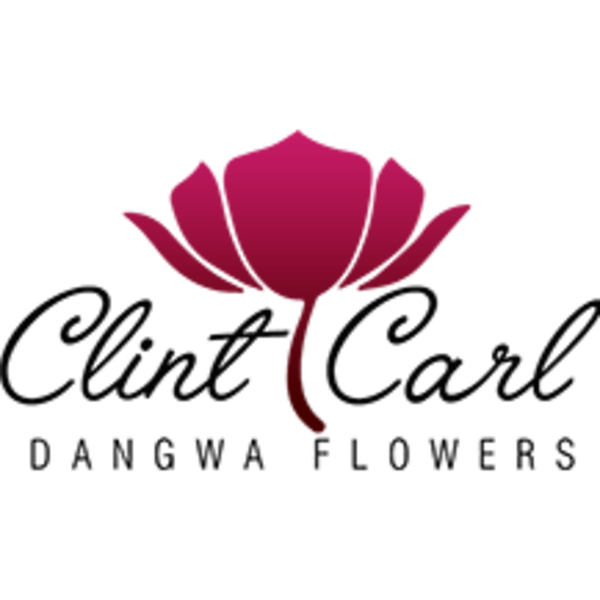 clint carl bridal fair